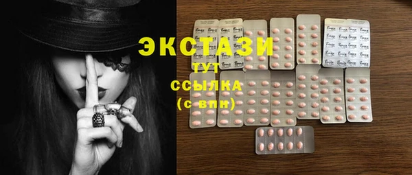 PSILOCYBIN Аркадак