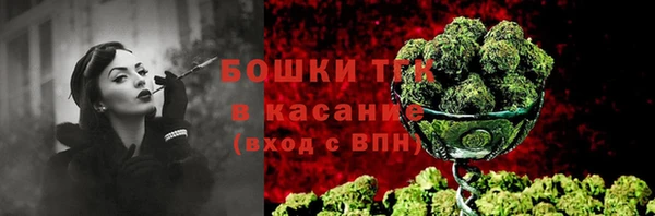 гидра Арсеньев