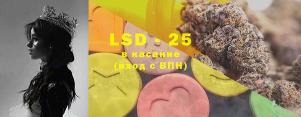 PSILOCYBIN Аркадак