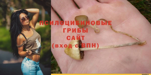 гидра Армянск