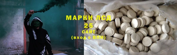 PSILOCYBIN Аркадак