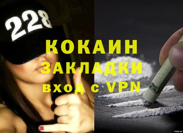 гидра Арсеньев