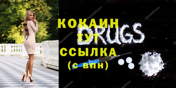 PSILOCYBIN Аркадак