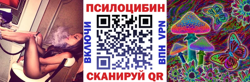 где купить наркоту  Певек  Псилоцибиновые грибы Psilocybine cubensis 